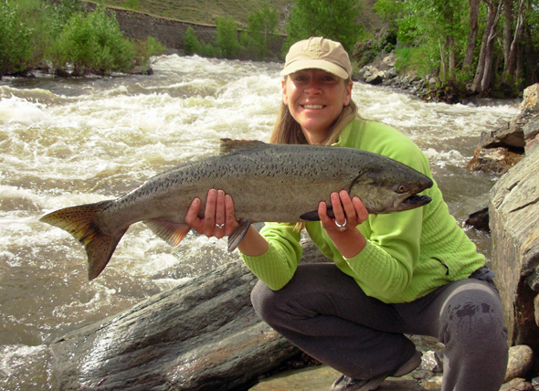 salmontime