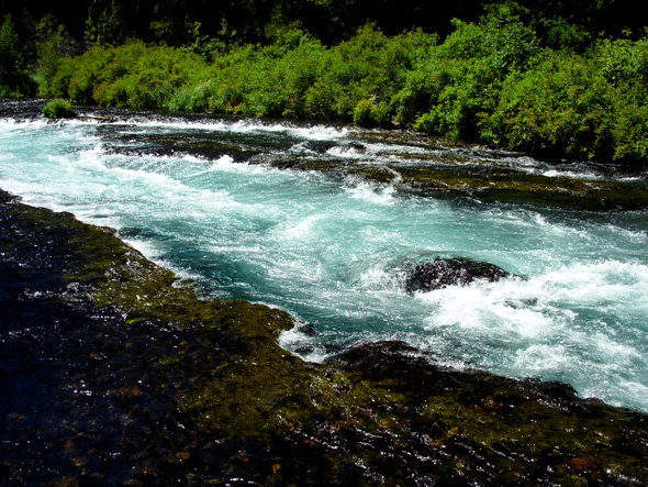 Metolius