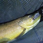 OutdooressFIshing 009