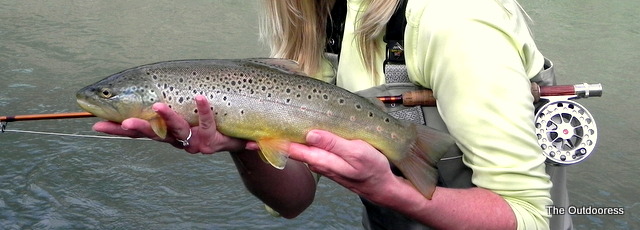 birthday 118 Brown Trout